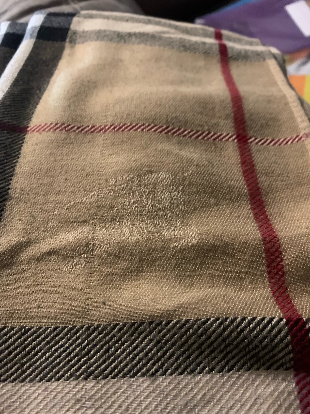 Burberry Scarf - photo 3