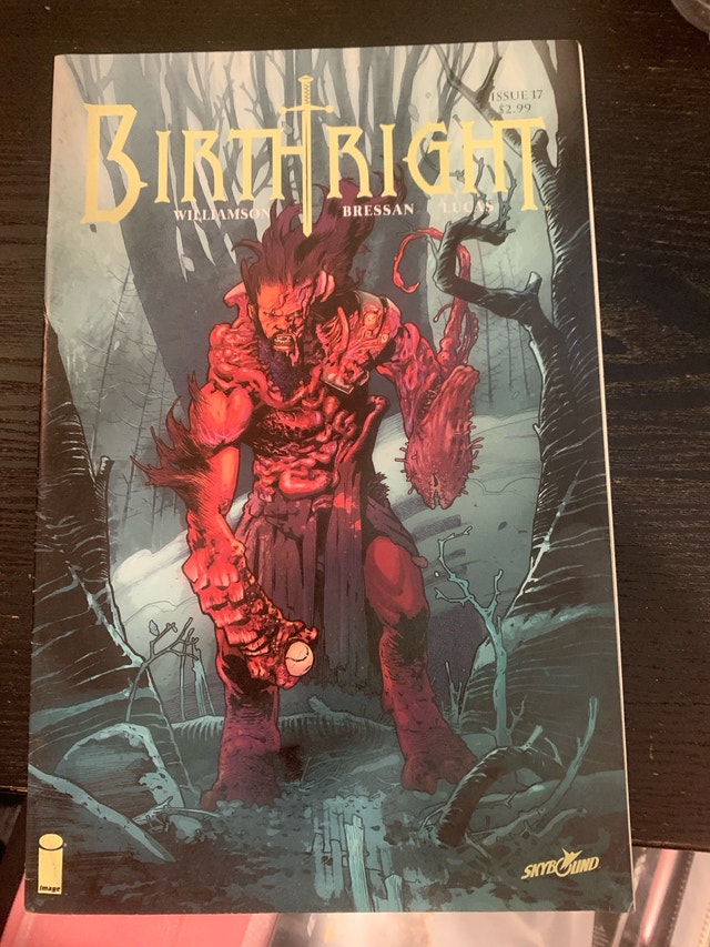 Birthright Issue 17