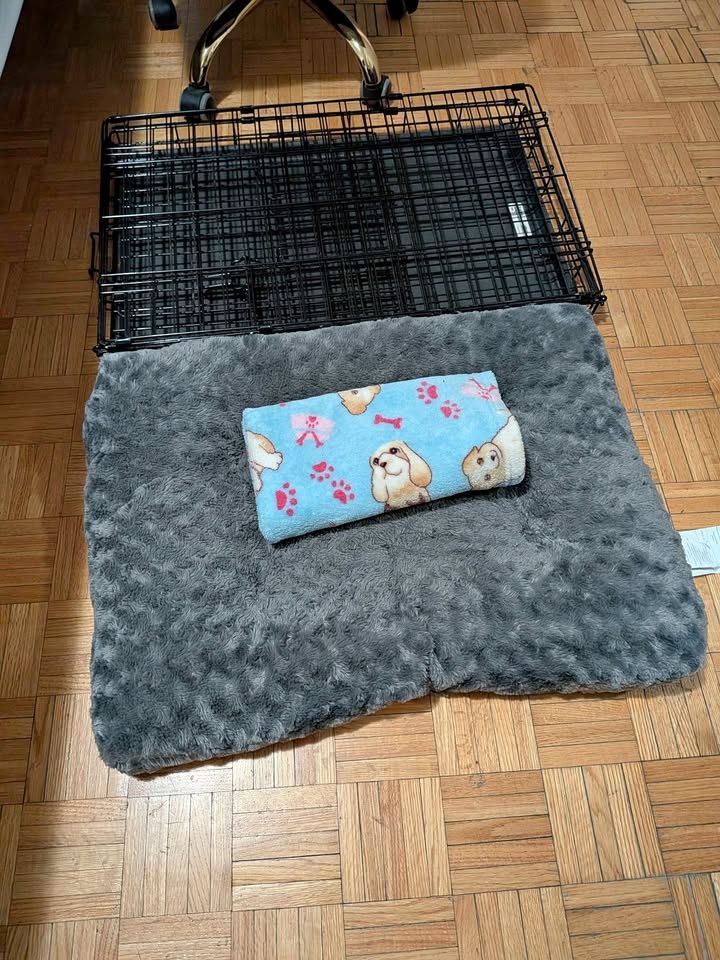 Folding Dog Crate