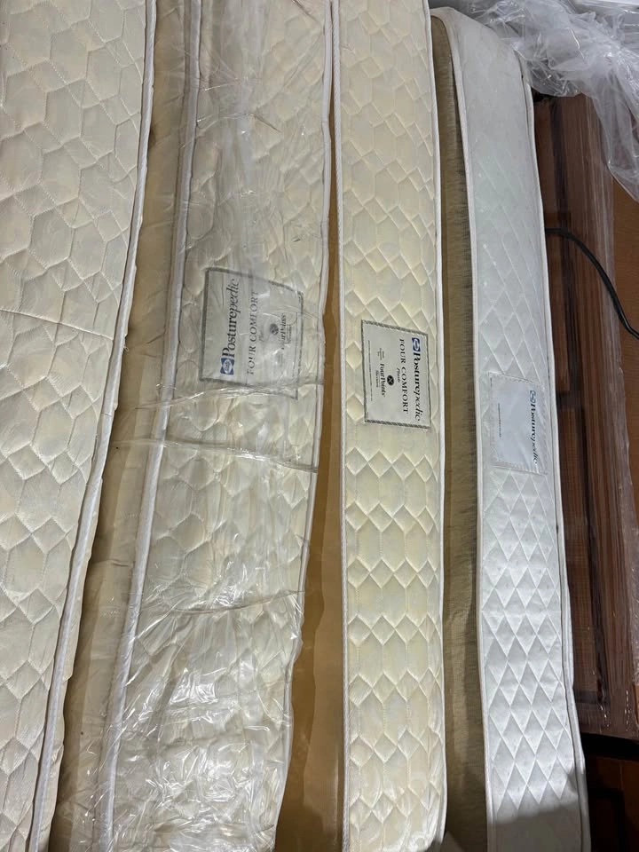 Queen Hotel Mattress – Sealy Posturepedic | Clean, Comfy, Afford - photo 4
