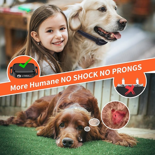 PaiPaitek No Shock Dog Training Collar - photo 3