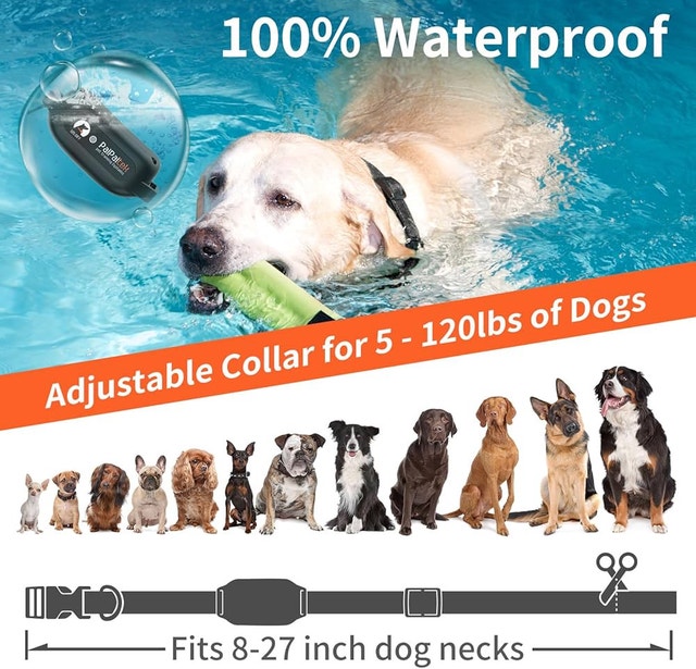 PaiPaitek No Shock Dog Training Collar - photo 5