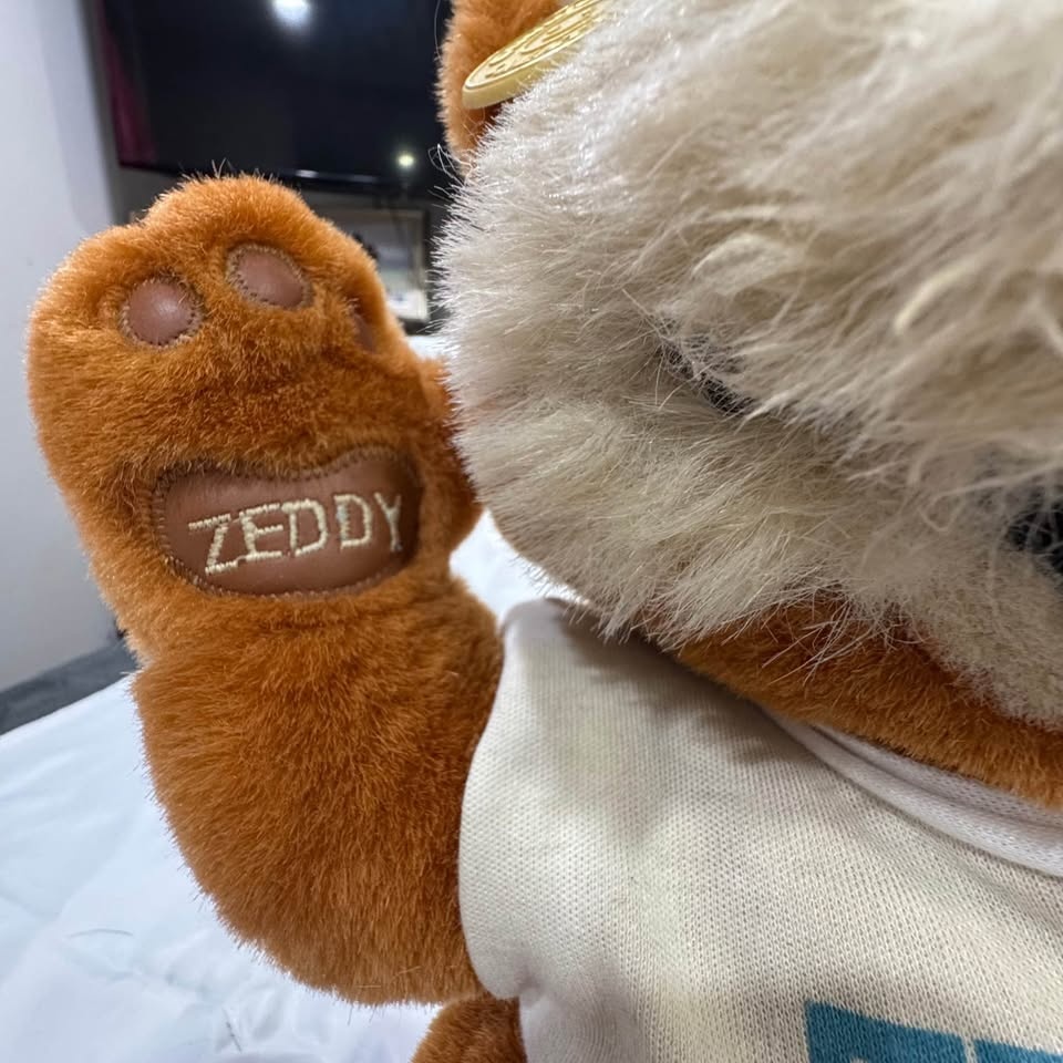 VINTAGE 1989 Zellers Zeddy Bear plush BEAR - photo 4