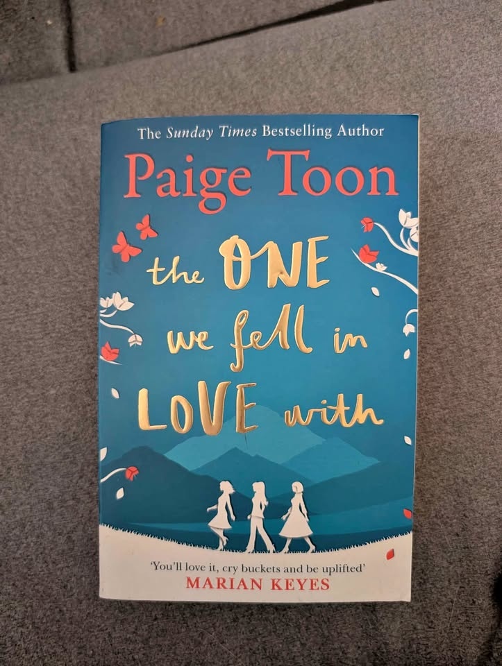Paige Toon - The One We Fell In Love With book