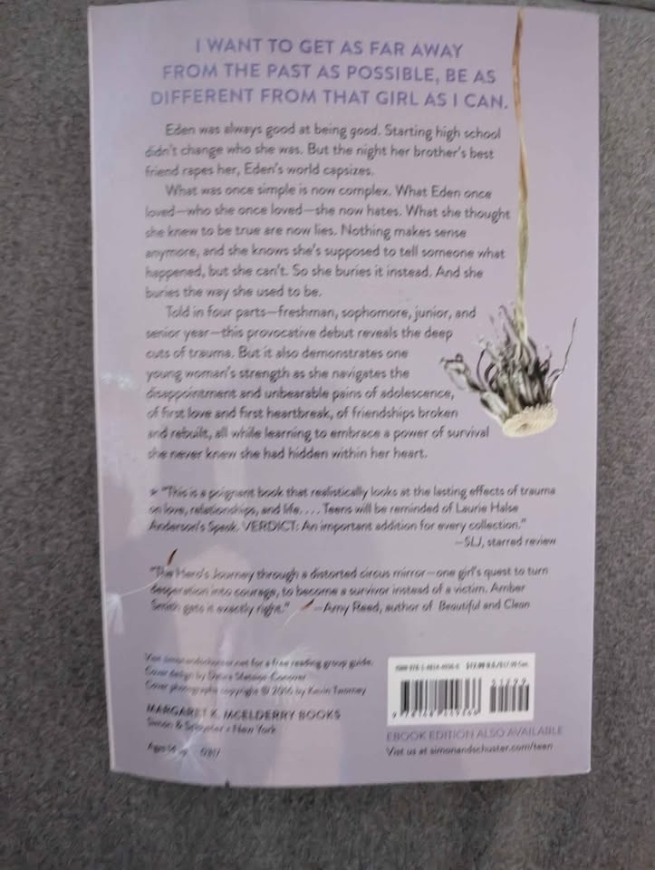 The Way I Used to Be by Amber Smith - NYT Bestseller - photo 2