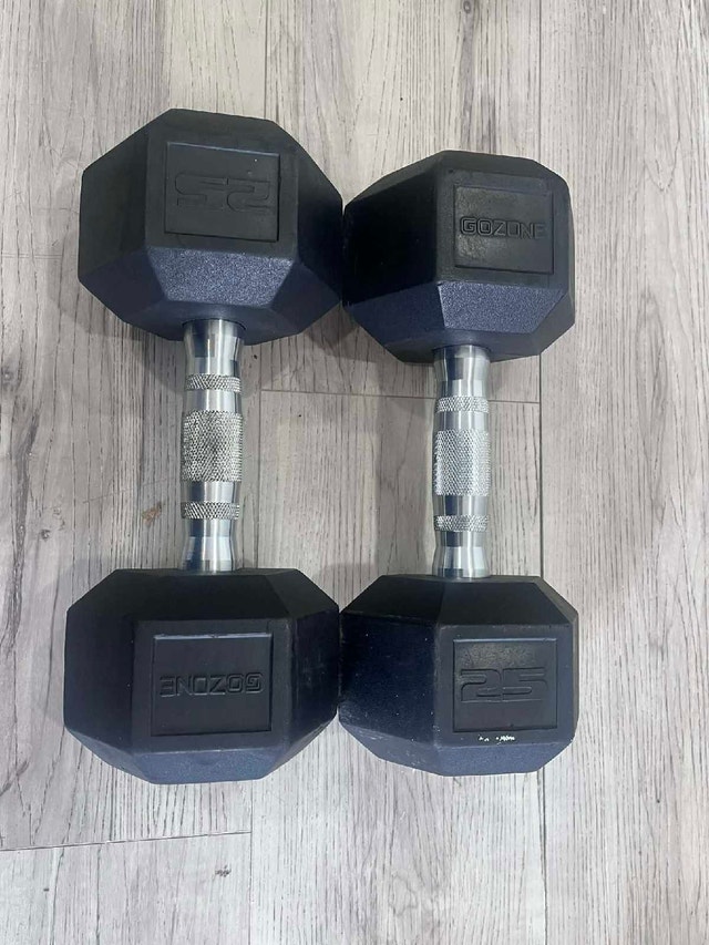 25 lbs Dumbbell Set