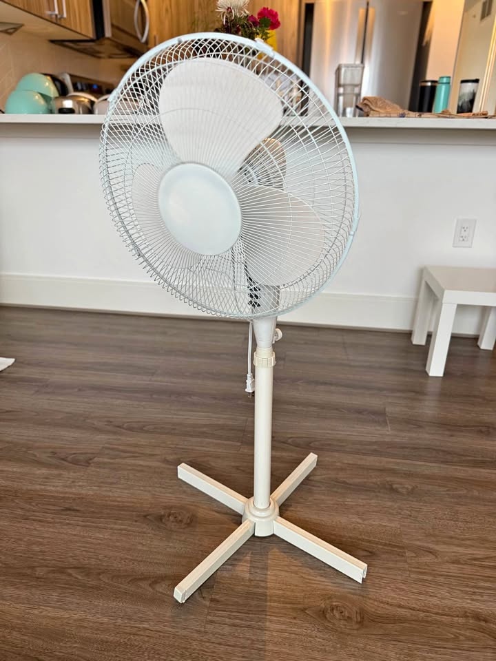 Stand Fan for Sale – Powerful Airflow & Very Stable!