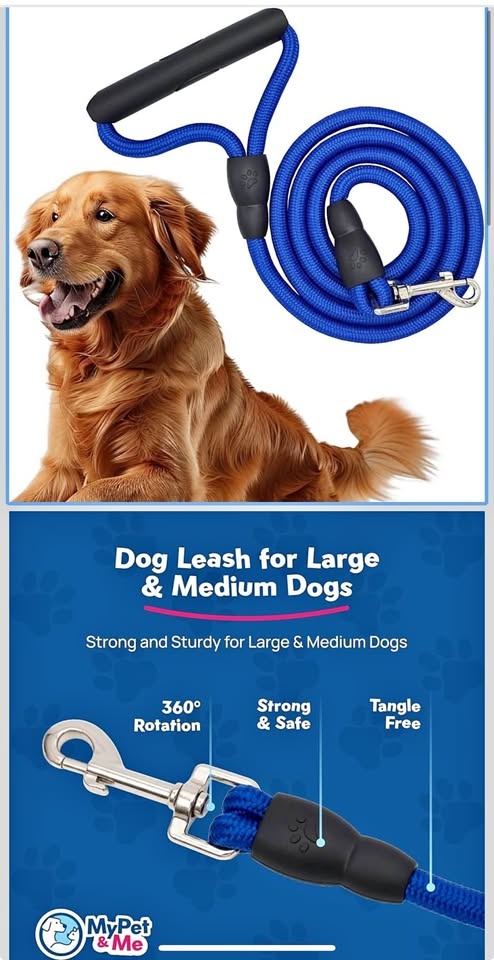 My pet & Me Dog Leash, Blue, Medium