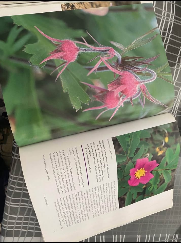 Botanica North America | native plants book - photo 3