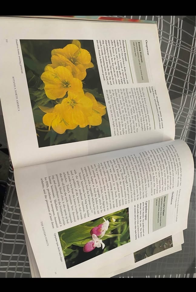 Botanica North America | native plants book - photo 4