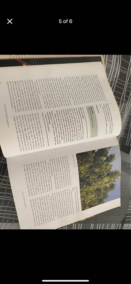 Botanica North America | native plants book - photo 5