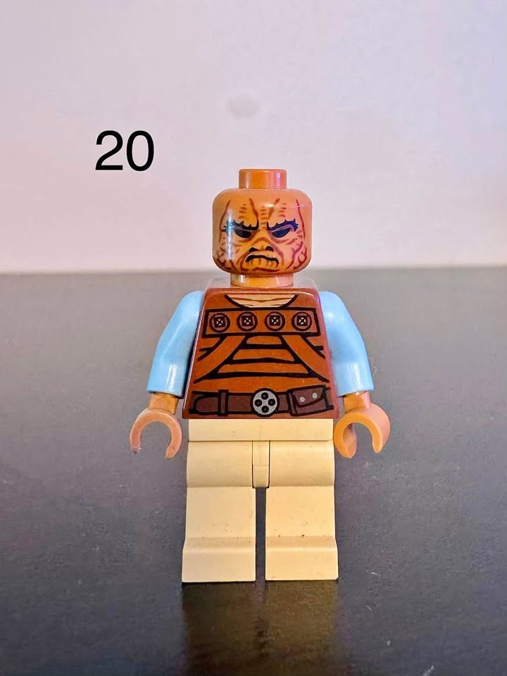 LEGO Star Wars Weequay Skiff Guard (Pagetti Rook)