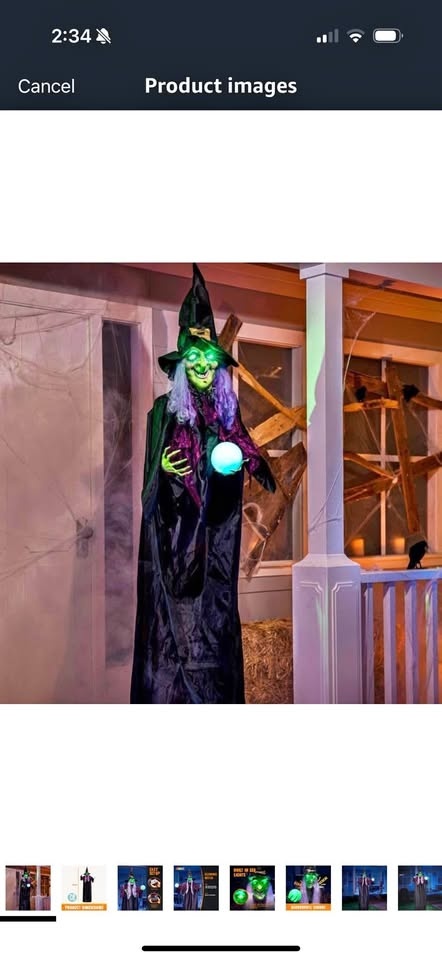 Halloween Witch