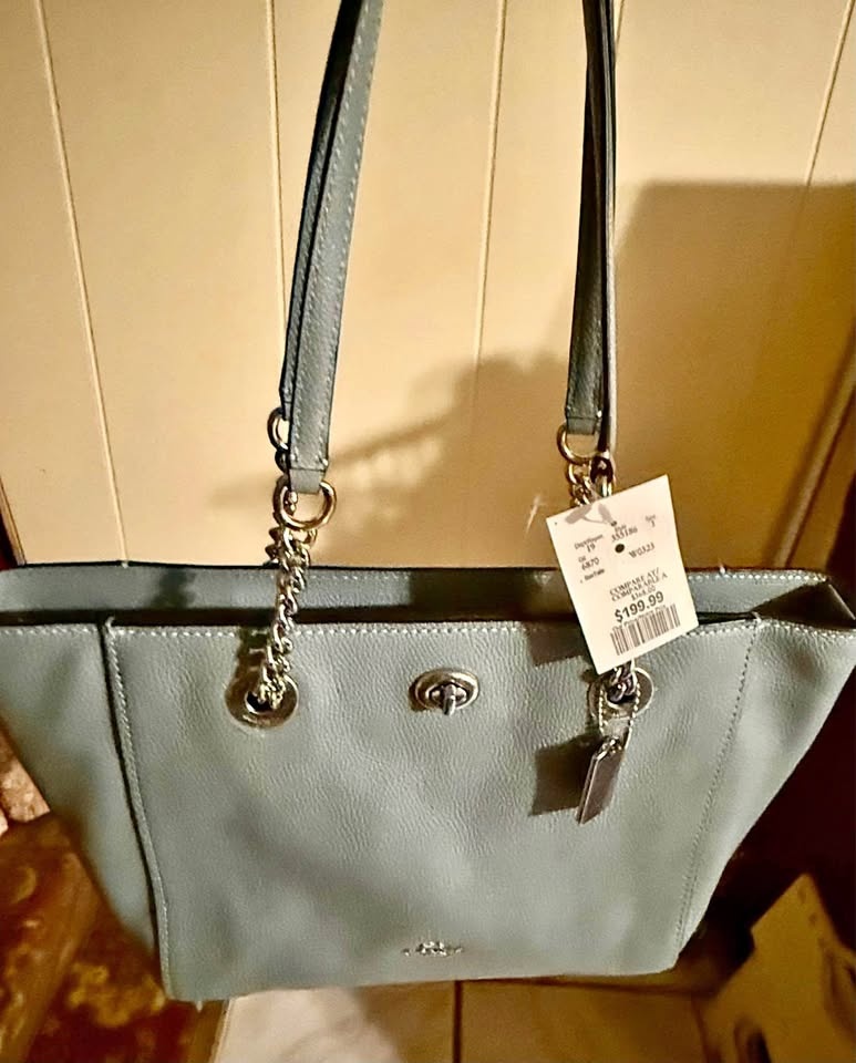 Coach Bag - Light Blue