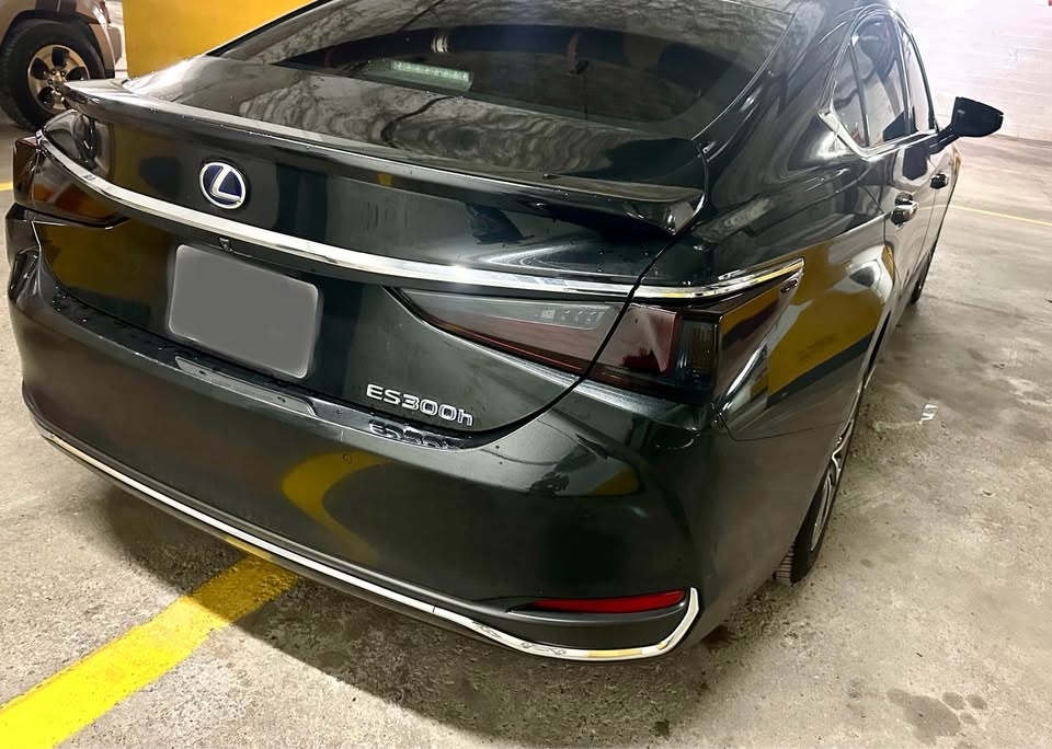 Taillight Tinting - SALE - photo 2