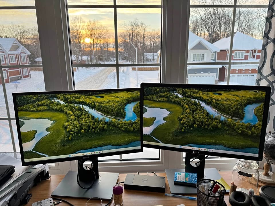 Two Dell Monitors: P2417H & P2414H