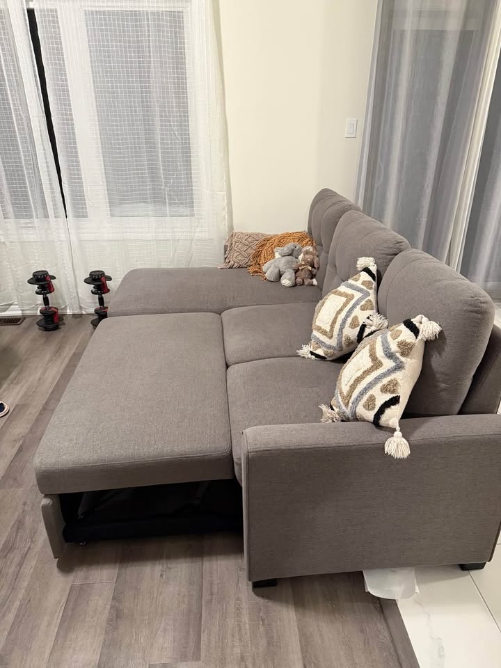 Pull-Out Sectional Sofa with Storage - photo 3