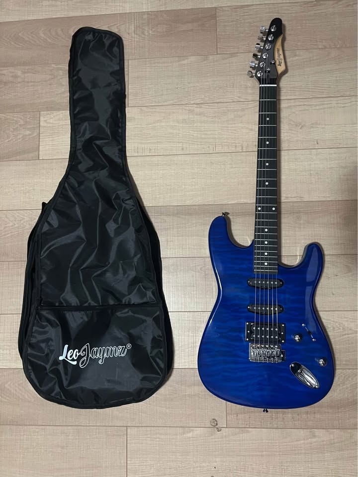 Electric Guitar by Leo Jaymz (Electric Guitar Kit) - photo 2