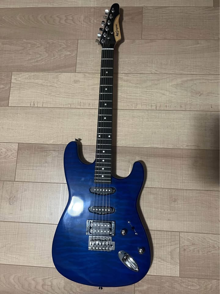 Electric Guitar by Leo Jaymz (Electric Guitar Kit) - photo 3