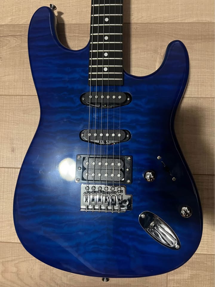 Electric Guitar by Leo Jaymz (Electric Guitar Kit) - photo 4