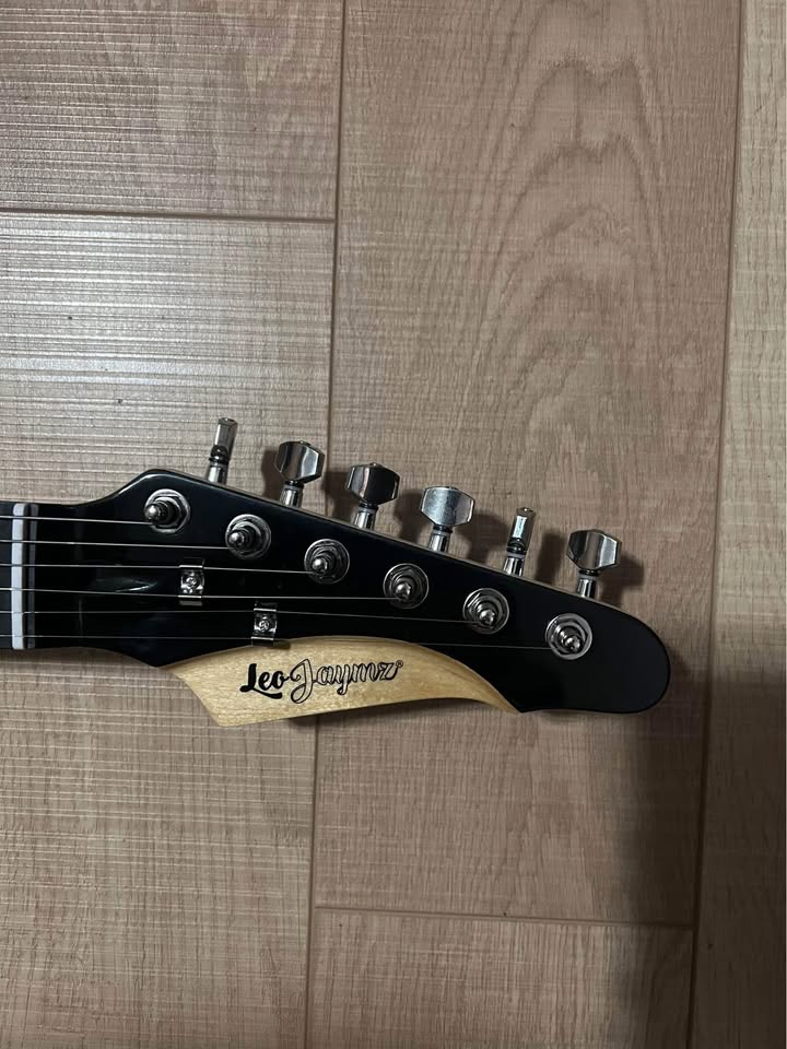 Electric Guitar by Leo Jaymz (Electric Guitar Kit) - photo 5