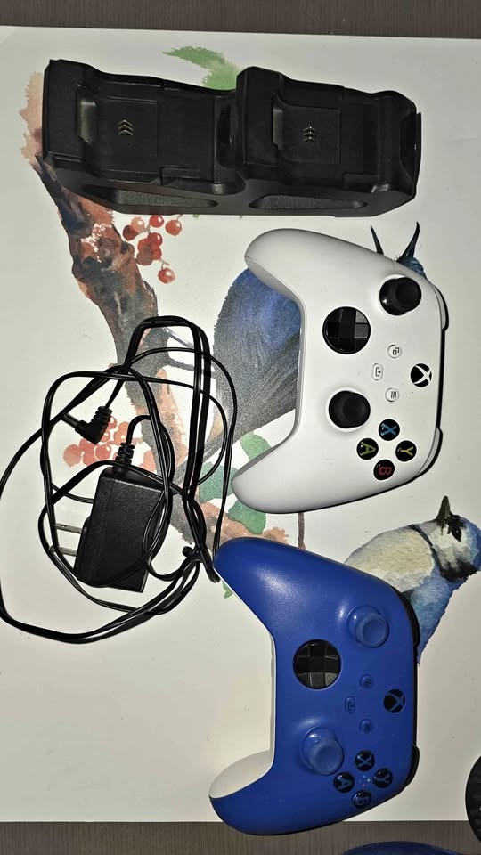 2 Xbox Controllers with Dock