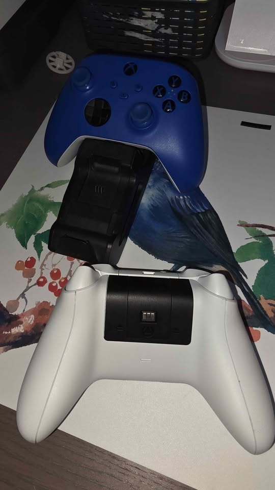 2 Xbox Controllers with Dock - photo 4