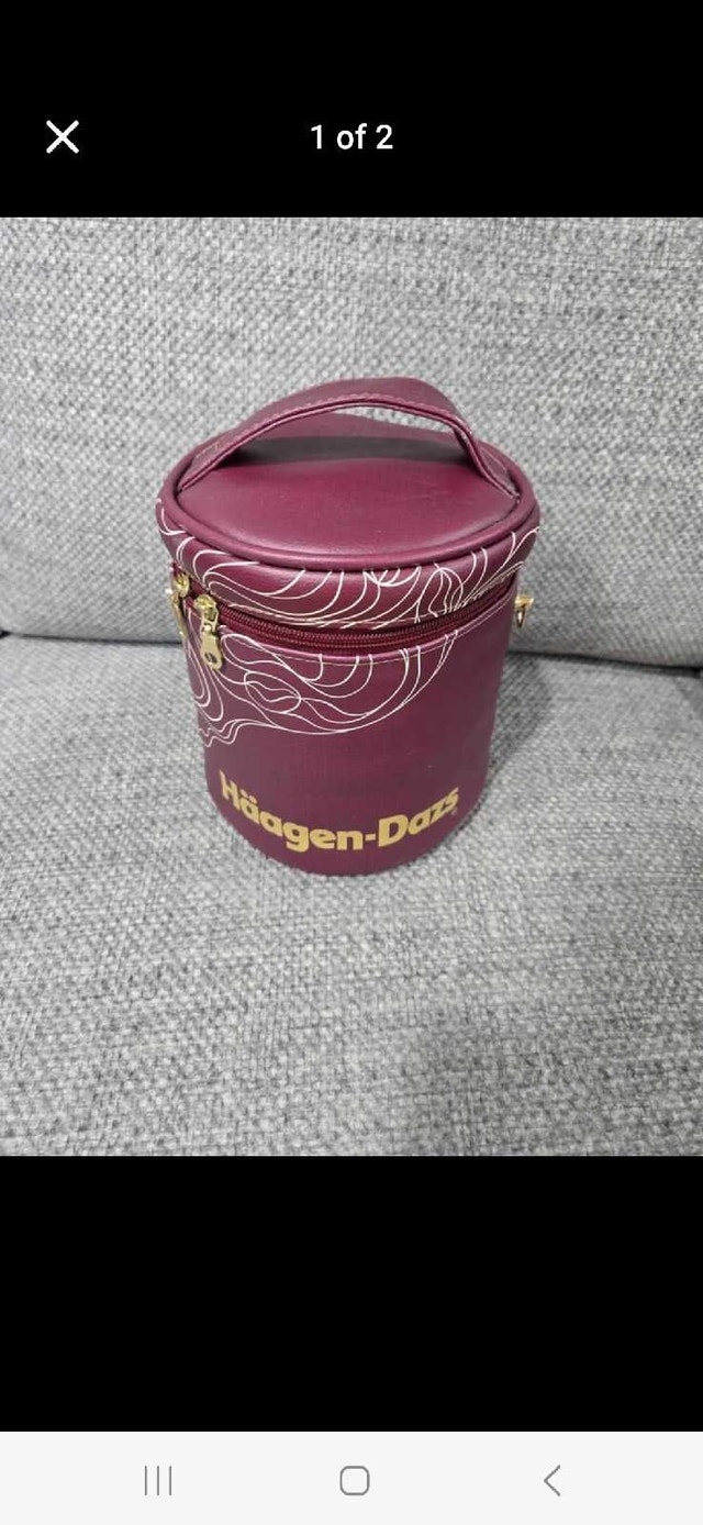 Leather Häagen-Dazs Icecream Cooler