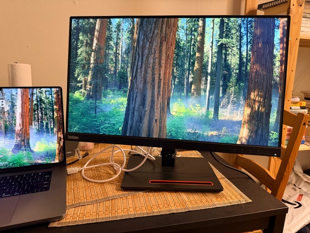 Lenovo ThinkVision T24i-20 24” FHD IPS Monitor - photo 5
