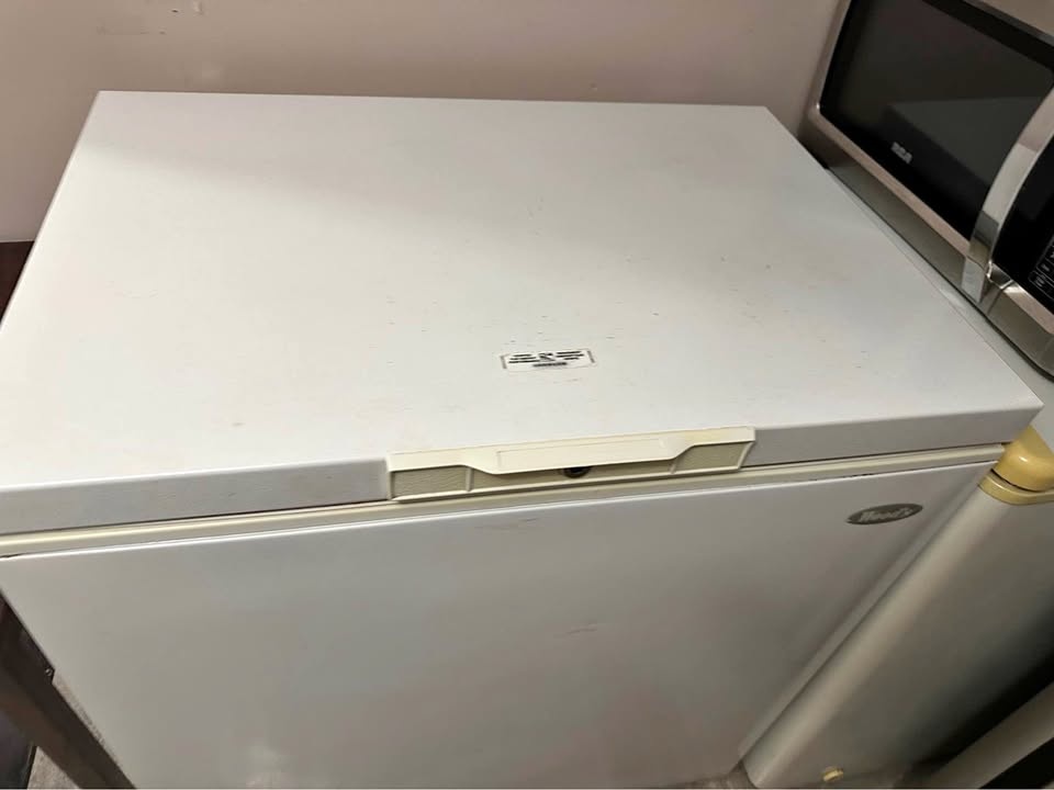 Wood's Chest Freezer