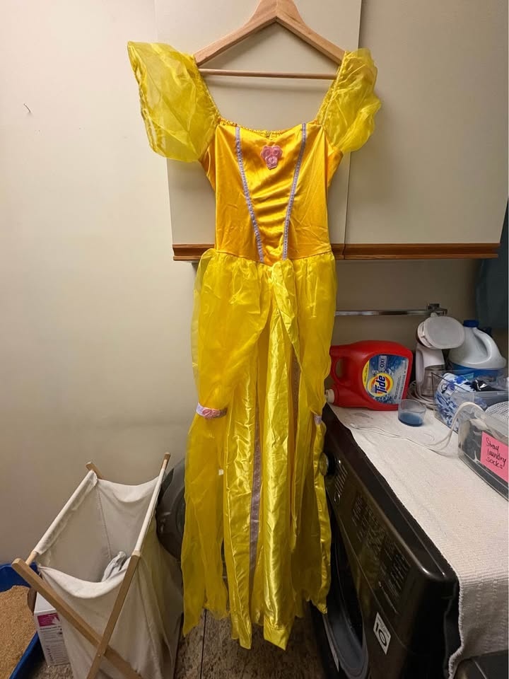 Belle Princess Costume