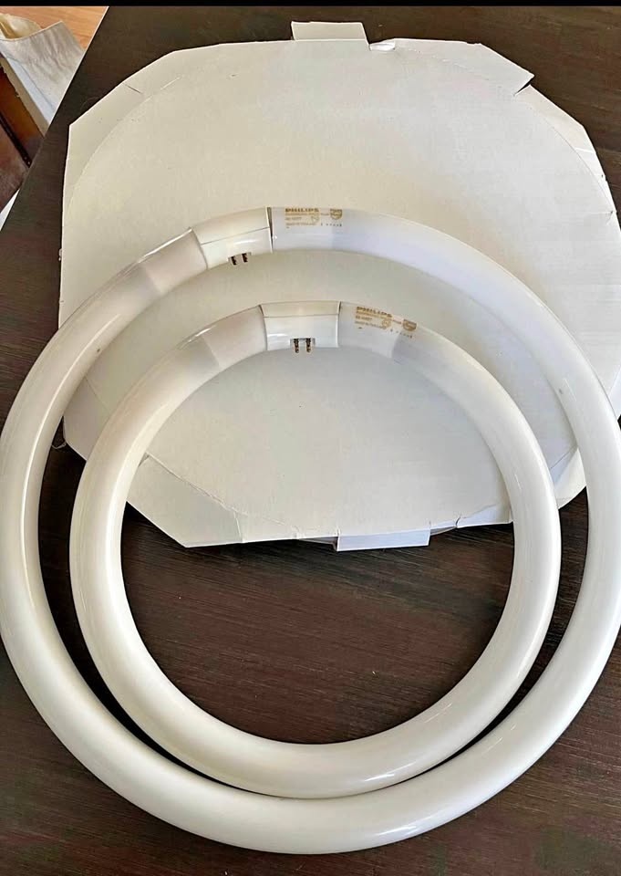 Round fluorescent light bulbs Phillip
