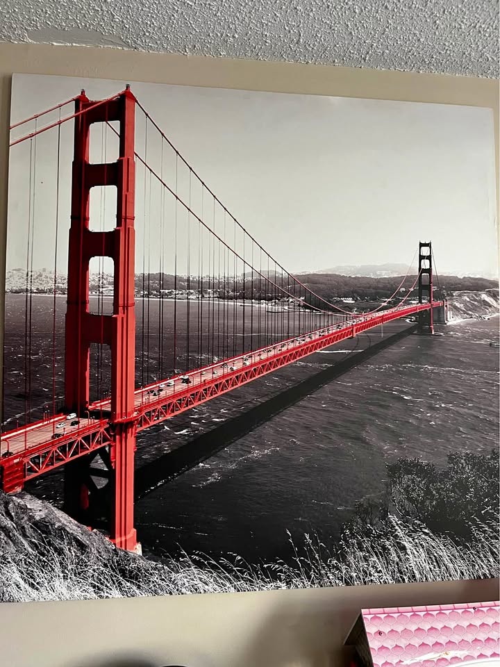 Large canvas