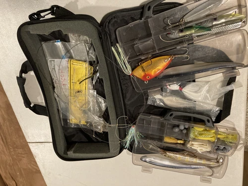 Fishing Tackle Lot, Lures, Cases And Daiwa Bag Included - photo 2