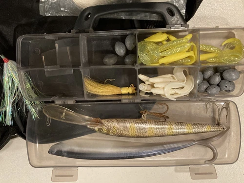 Fishing Tackle Lot, Lures, Cases And Daiwa Bag Included - photo 3