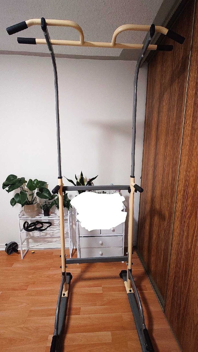 Pull Up Dip Station