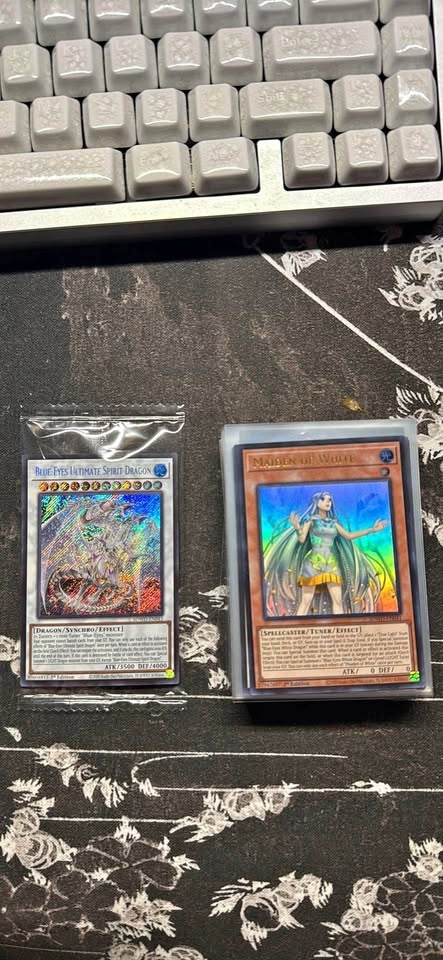 Blue-Eyes Ultimate Spirit Dragon FULL Battle Deck