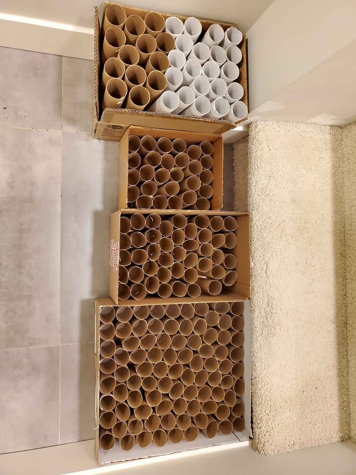 Empty Toilet Paper Rolls & Paper Towel Rolls (Arts & Crafts)