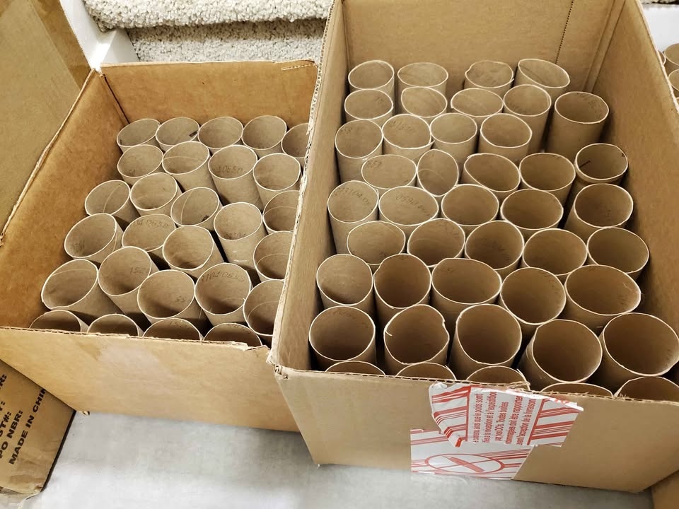 Empty Toilet Paper Rolls & Paper Towel Rolls (Arts & Crafts) - photo 4