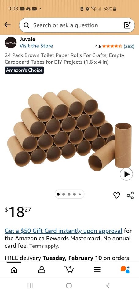 Empty Toilet Paper Rolls & Paper Towel Rolls (Arts & Crafts) - photo 5