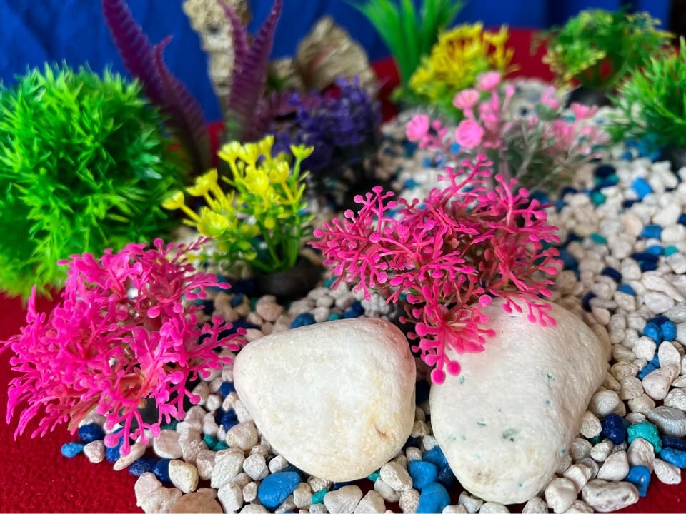 Aquarium Decoration Set - Artificial Plants & Cave - photo 5
