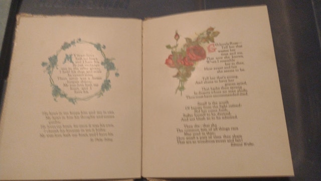 In Love's Garden Collectible Album 1910 - photo 2