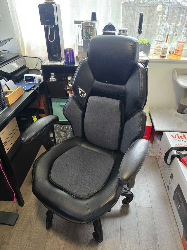 DPS Gaming Chair from Costco