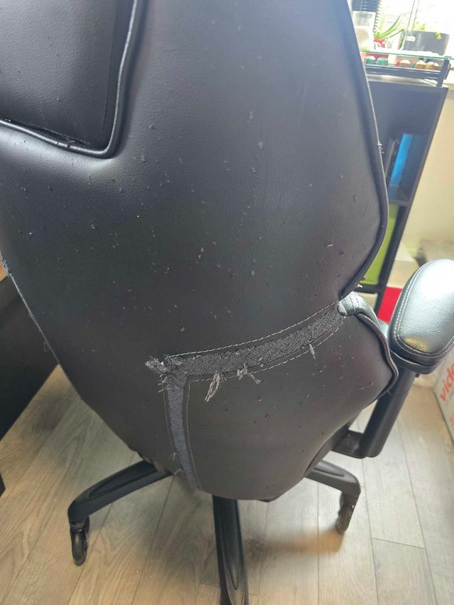 DPS Gaming Chair from Costco - photo 2