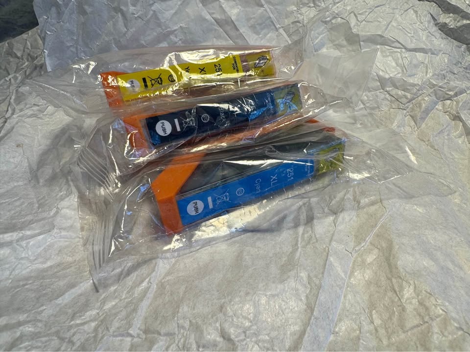 Canon Printer Ink 251 XL