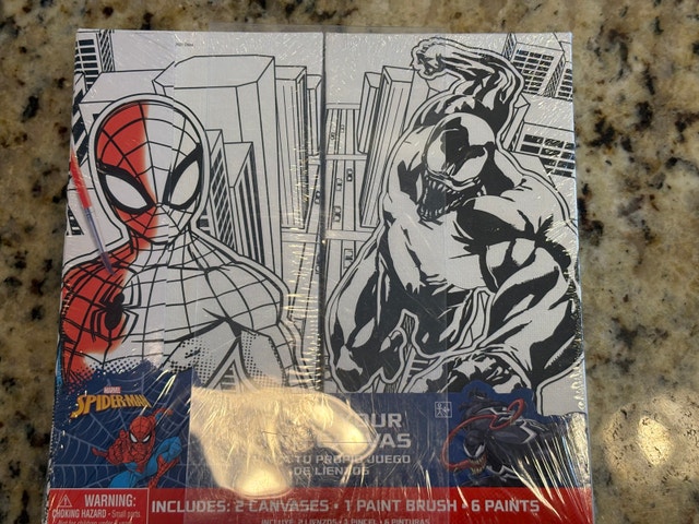 Marvel Paint Canvas Set