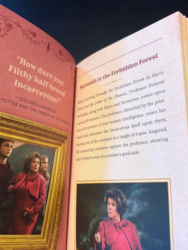 Harry Potter Dolores Umbridge Character Guide and Journal - photo 3