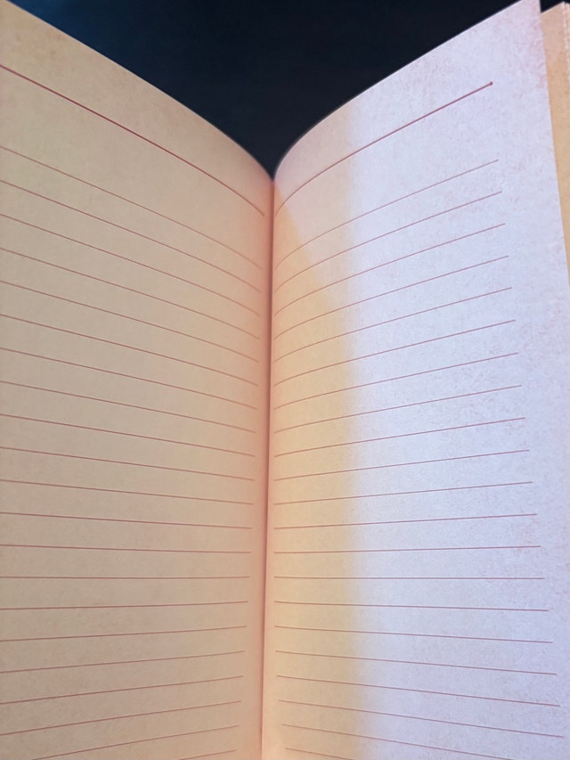 Harry Potter Dolores Umbridge Character Guide and Journal - photo 4