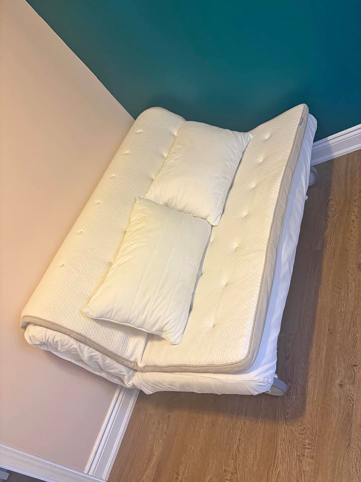 Queen Sofa Bed + mattress topper