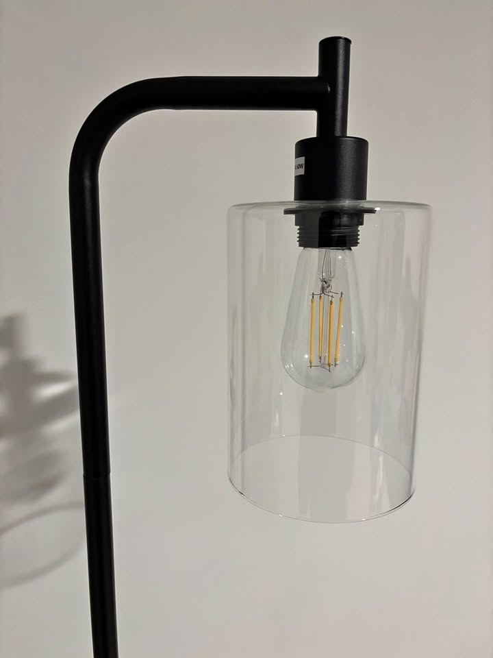 Floor lamp whit glass shade